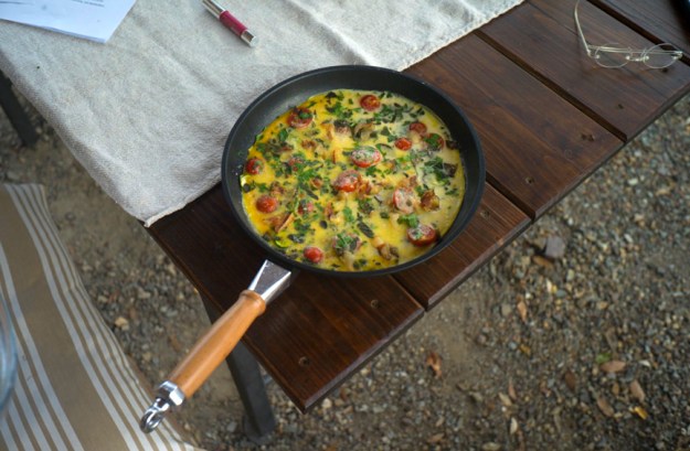 07-11 Omelet L1031347