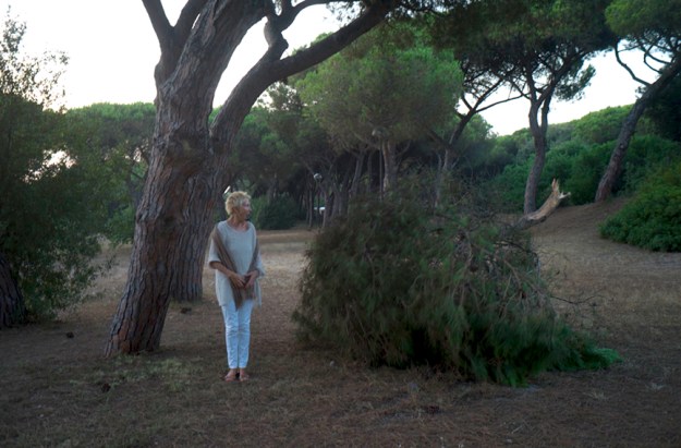 07-24 Maggie tree L1031822.