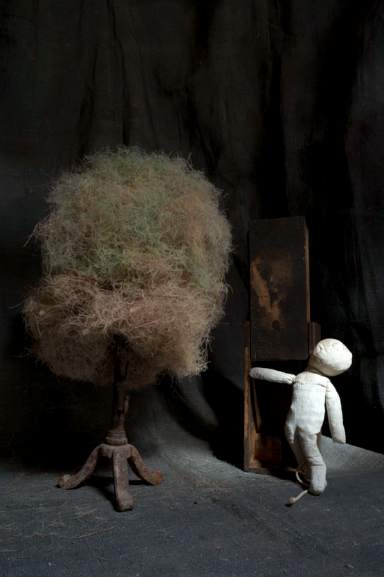 09-2 Still Life L1002785