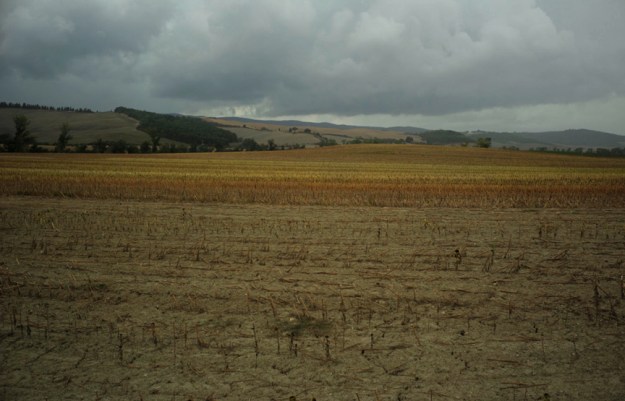 09-14 Fields L1000821