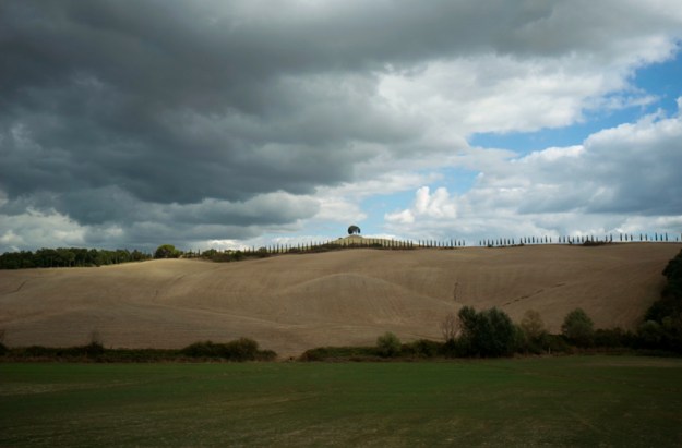 09-16 Treeline L1000850