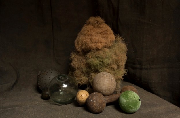 10-10 still life L1003362