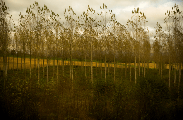 11-13 Train L1002599