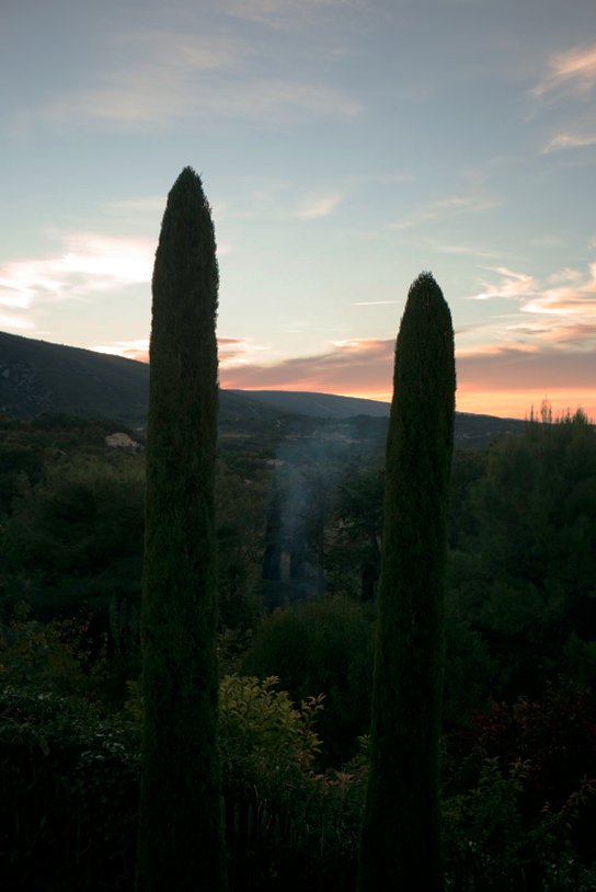 11-7 trees-smoke L1002541